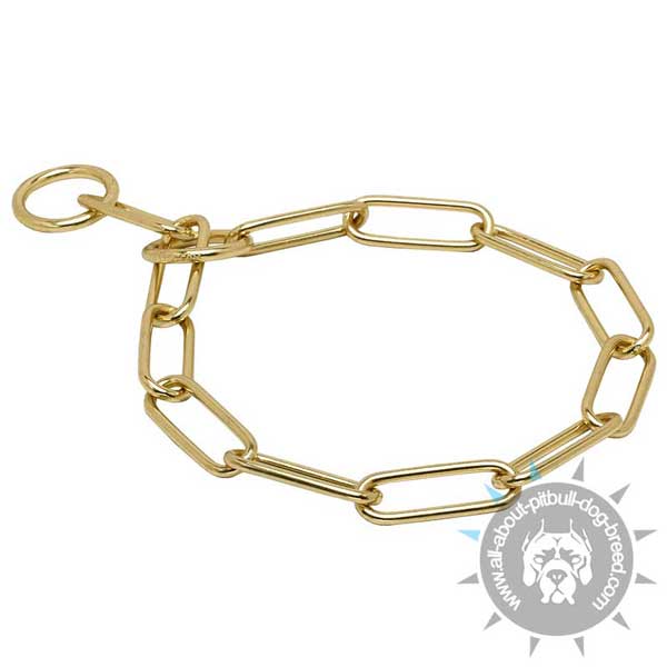 Pitbull Fur Saver of Strong Brass