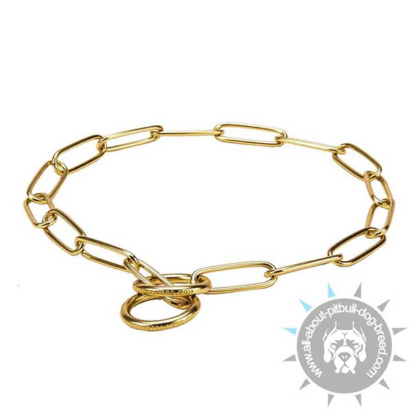 Pitbull Training Choke Collar of Brass