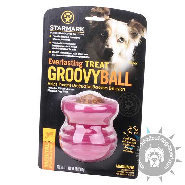 Pitbull Rubber Challenging Toy