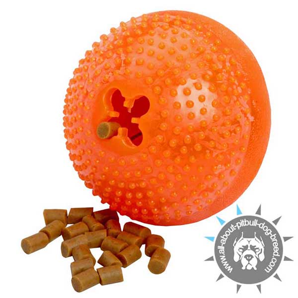 Dog Chew Toy for Treat Dispensing