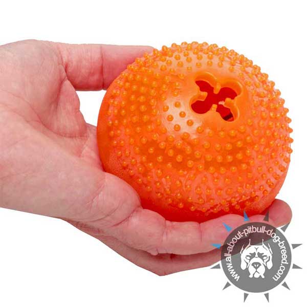 Treat Dog Toy for Delicious Mealtime