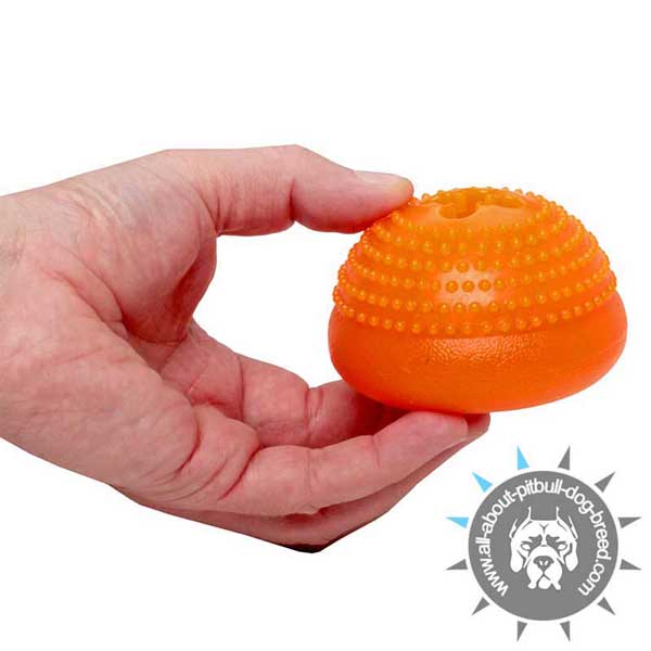 Challenging Chew Toy for Treat Dispensing