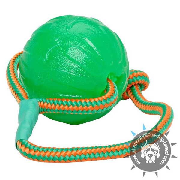 Chew Dog Ball on Rope