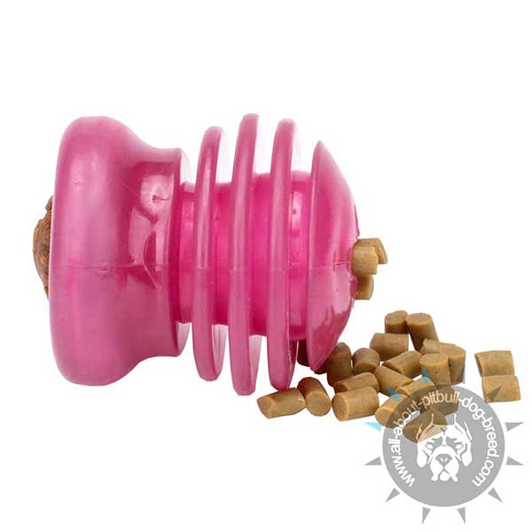 Everlasting Chew Toy for treats and Kibbles