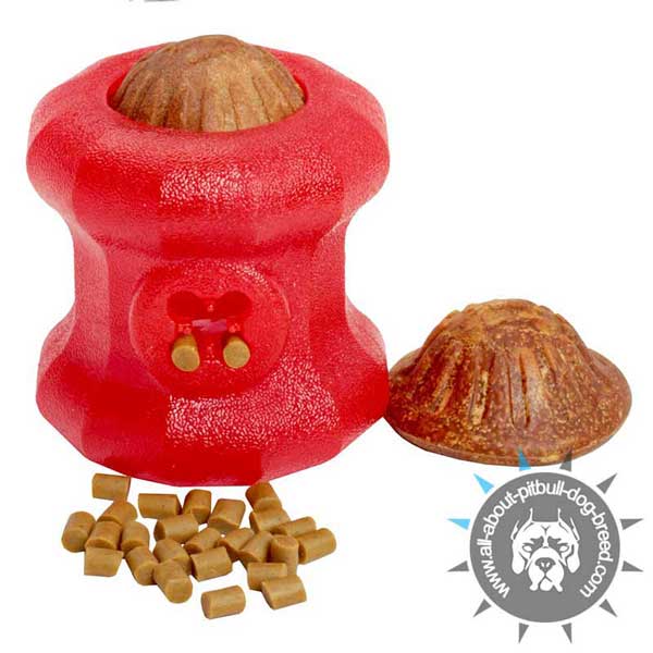 Challenging Chew Toy with Treats and Kibbles