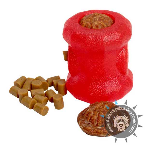 Indestructible Rubber Chew Dog Toy