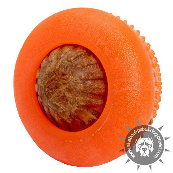 Durable Rubber Pitbull Chew Toy