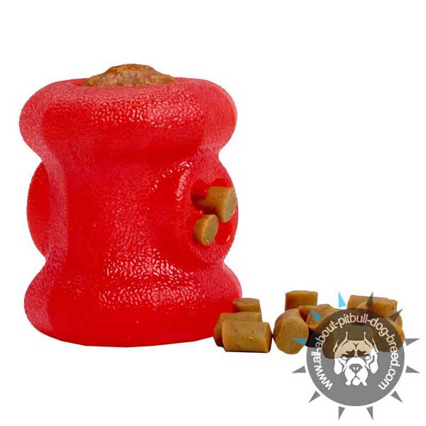 Challenging Chew Toy for Treats and Kibbles