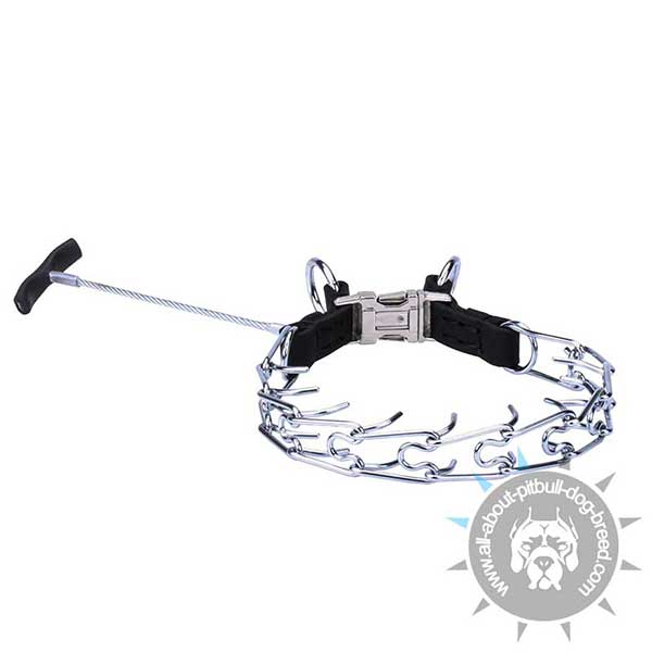 Pitbull Pinch Collar of  Chrome Plated Steel with Handle