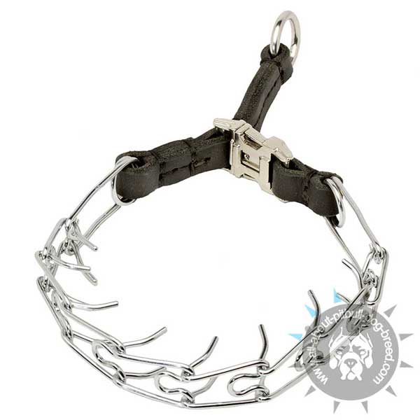 Pitbull Pinch Collar with Quick Release Buckle