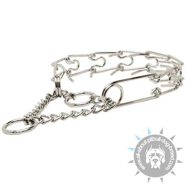 Pitbull Chrome Plated Pinch Collar for Dog Training