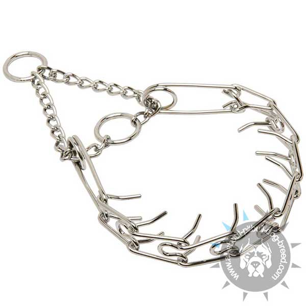 Chrome Plated Pinch Collar for Pitbull Training