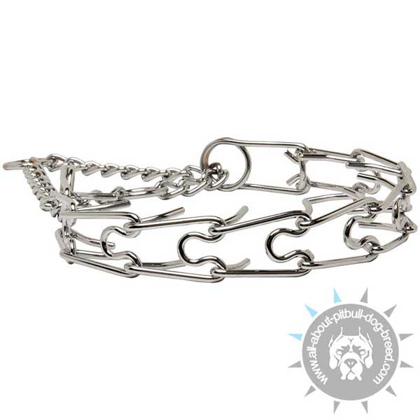 Efficient Training Chrome Plated Pinch Collar for Pitbull