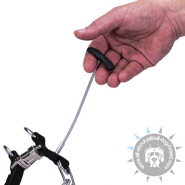 Pitbull Pinch Collar with Long Handle