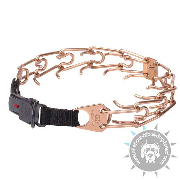 Pitbull Training Pinch Collar