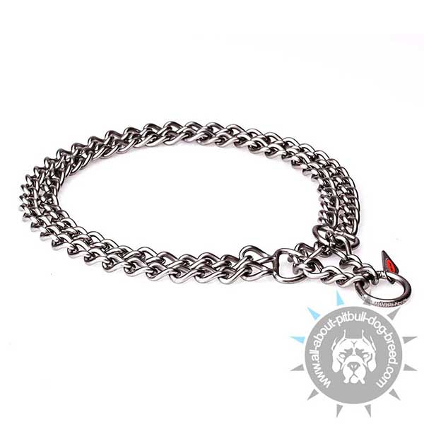 Training Pitbull  Collar Double Chain