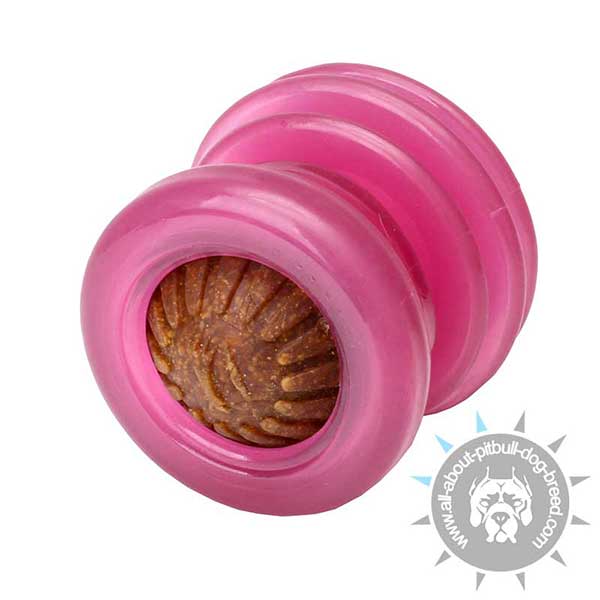 Rubber Treat Holder for Healthy Mealtime