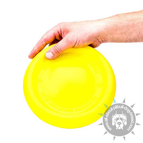 Unsinkable DuraFoam Disc for Water Playing