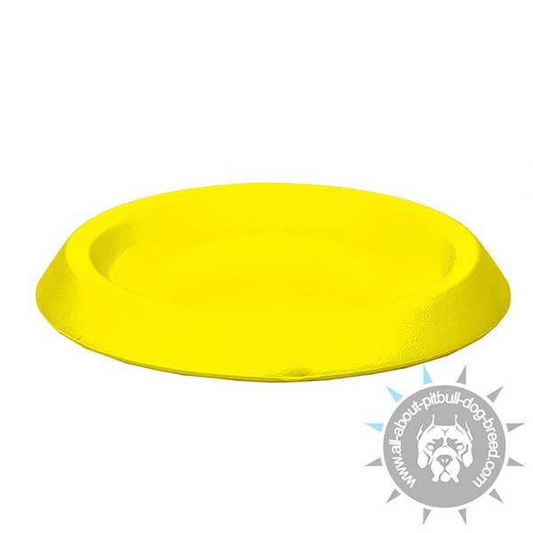 Floating DuraFoam Flying Disc