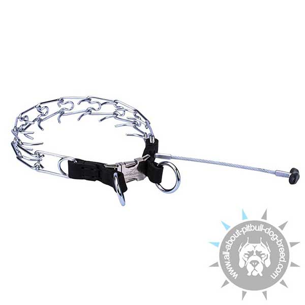 Chrome Plated Pitbull Pinch Collar for Behavior Correction