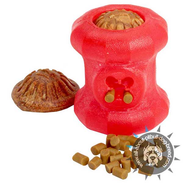 Indestructible Rubber Chew Treat Holder