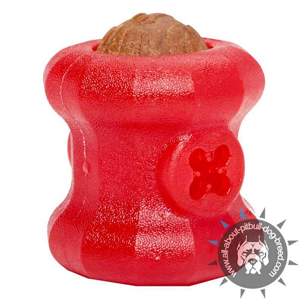 Special Rubber Pitbull Chew Treat Toy