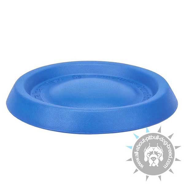 Floating DuraFoam Flying Disc