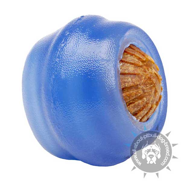 Pitbull Treat Dispenser Chew Toy