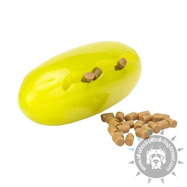 Indestructible Chew Toy for Small Treats