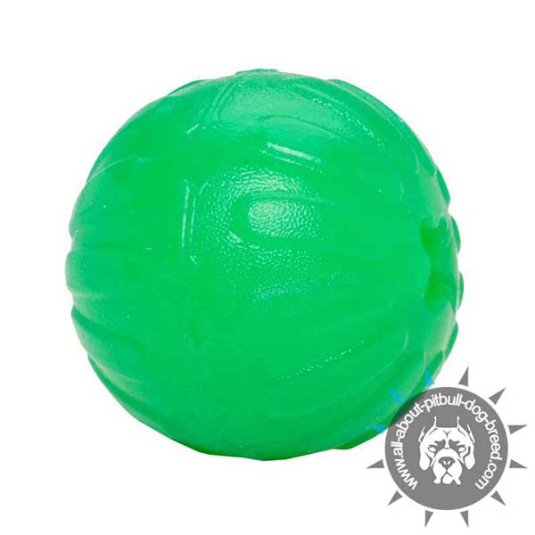 Rubber Treat Holder for Interactive Games