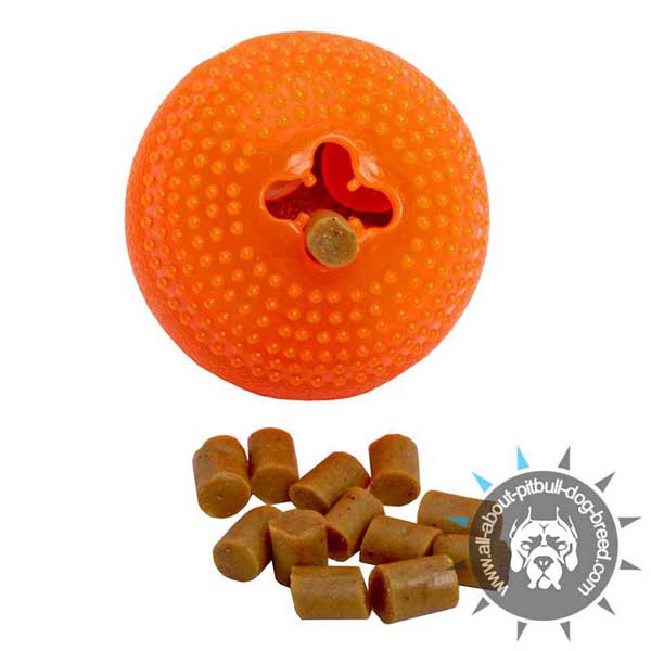 Challenge Chew Toy for Treat Dispensing