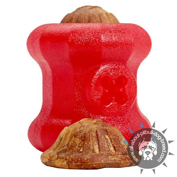 Rubber Chew Treat Holding Toy Large in Size
