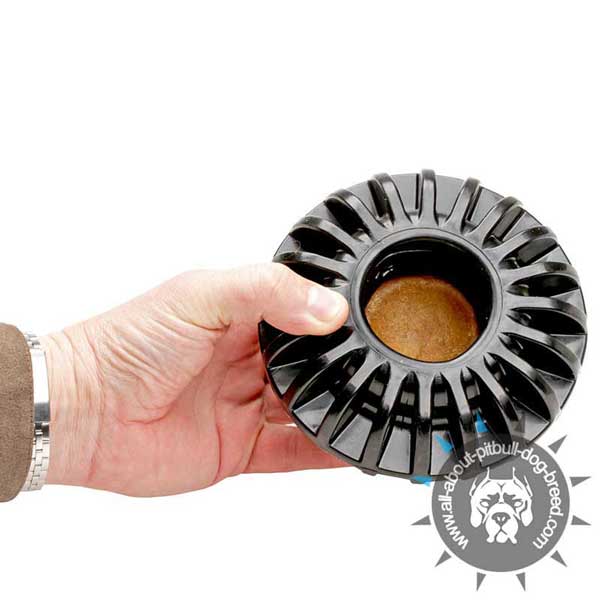 Large Treat Dispensing Chewing Toy