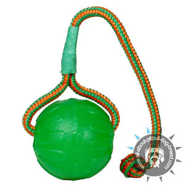 Durable Chew Ball of Special Rubber
