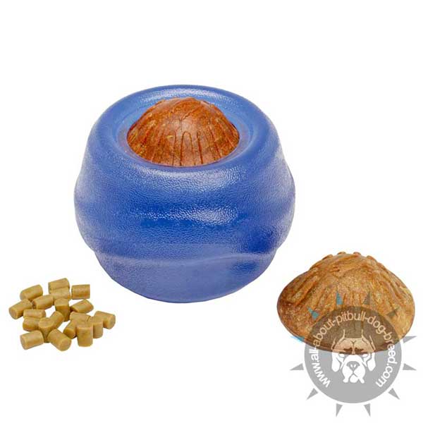 Indestructible Treat Dispenser Chew Toy