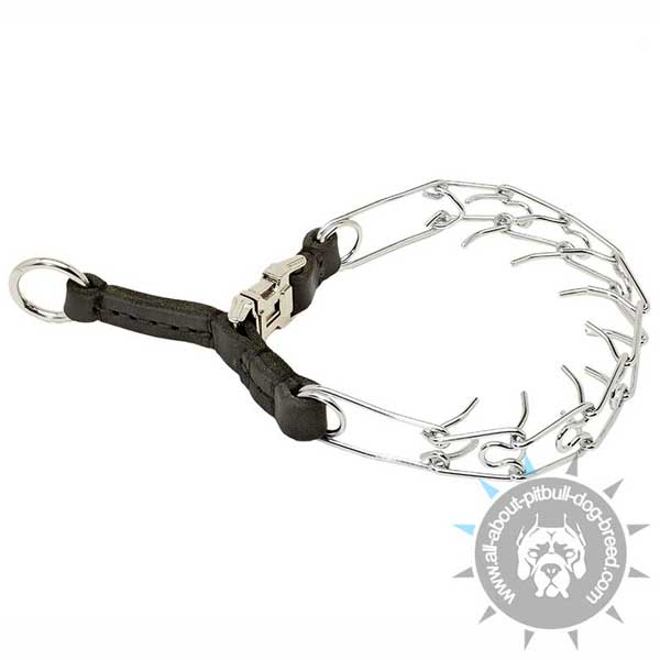 Pitbull Chrome Plated Pinch Collar with Solid Leather Part