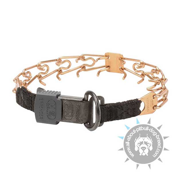 Functional Pitbull Curogan  Pinch Collar