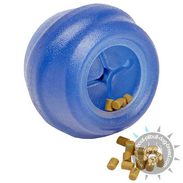 Chewing Treat and Kibbles Dispenser