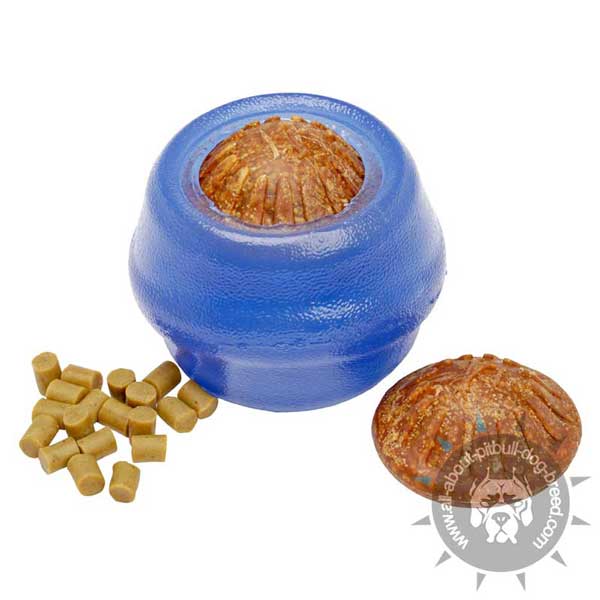 Pitbull Treat and Kibbles Dispenser