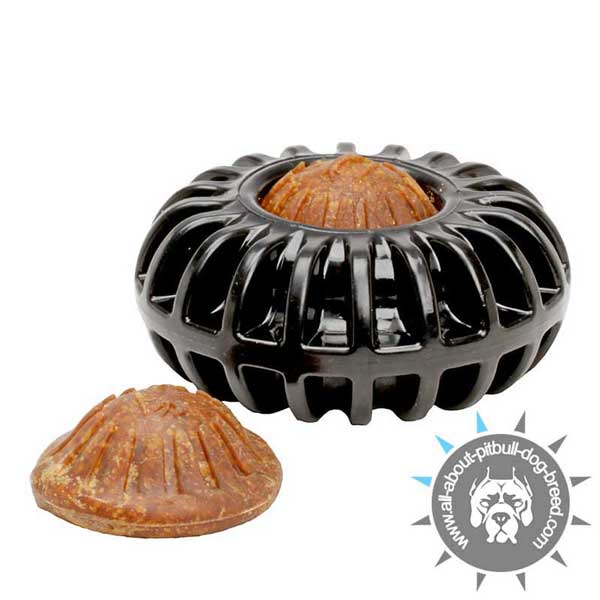 Imperishable Treat Dispenser Chew Toy