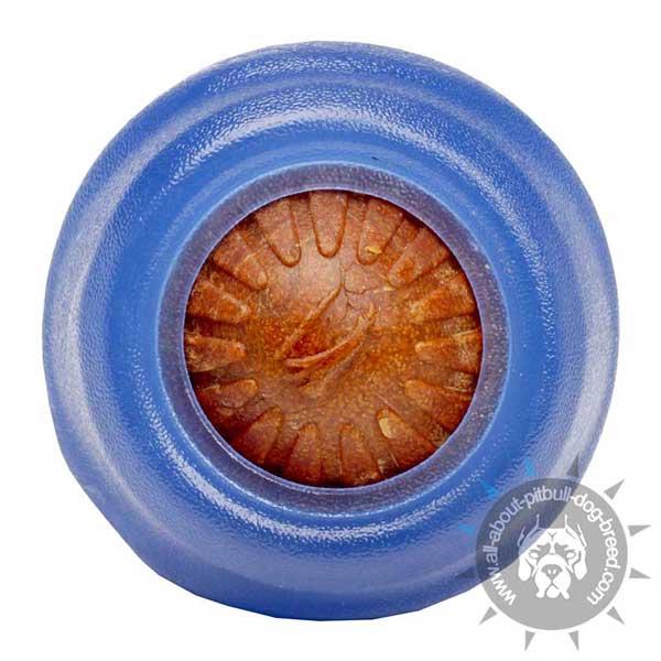 Pitbull Chewing Ball of Safe Rubber