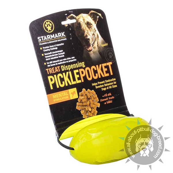 Pitbull  Treat Holding Toy for Chewing