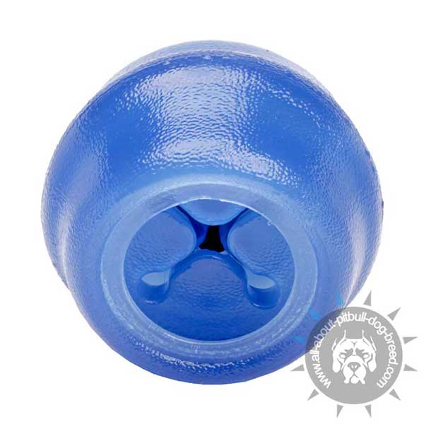 Pitbull Chewing Ball of Safe Rubber