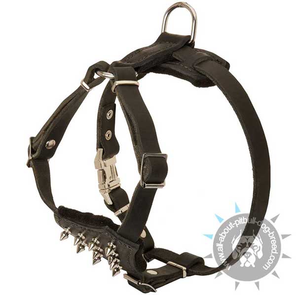 Puppy Leather Harness with Adjustable Straps
