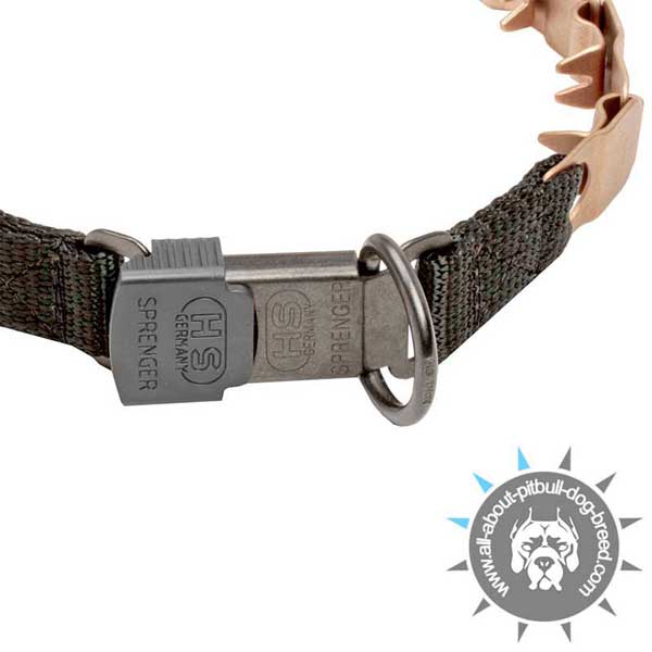 Click Lock Buckle on Pitbull Neck Tech Collar