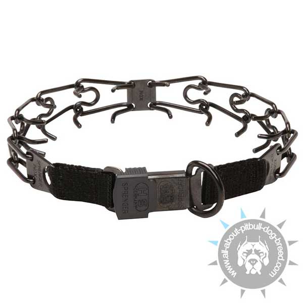 Pitbull pinch Collar for Dog Control