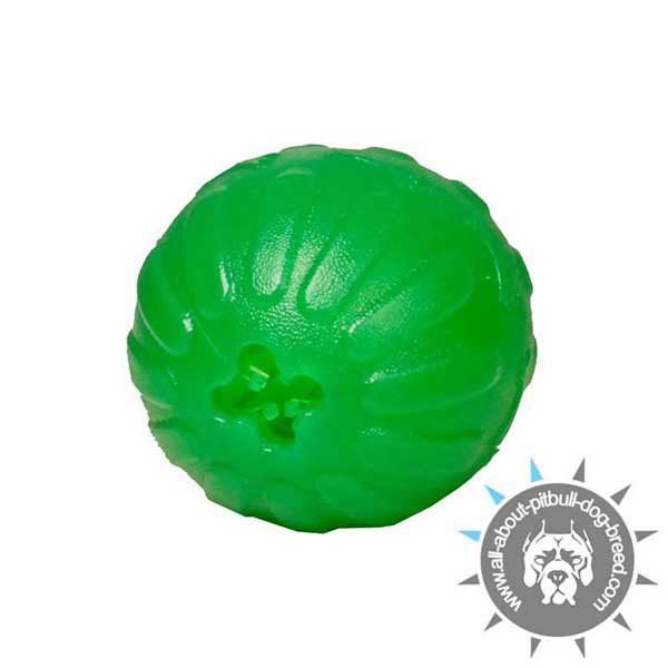 Special Rubber Chew Toy - Treat Dispenser