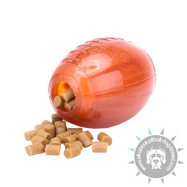 Floating Rubber Treat Dispensing Toy 