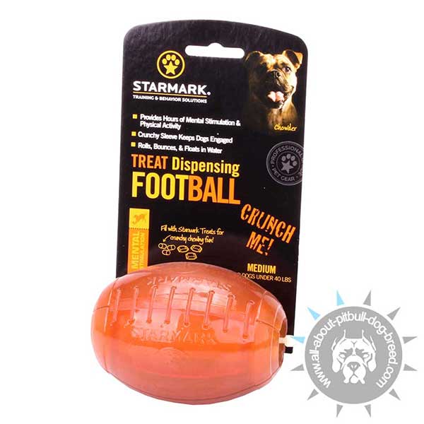 Rugby Ball Treat Holder for Prolonged Meal Time