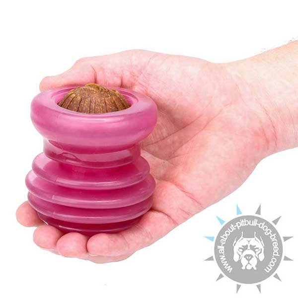 Pitbull Treat and Kibble Holder of Medium Size